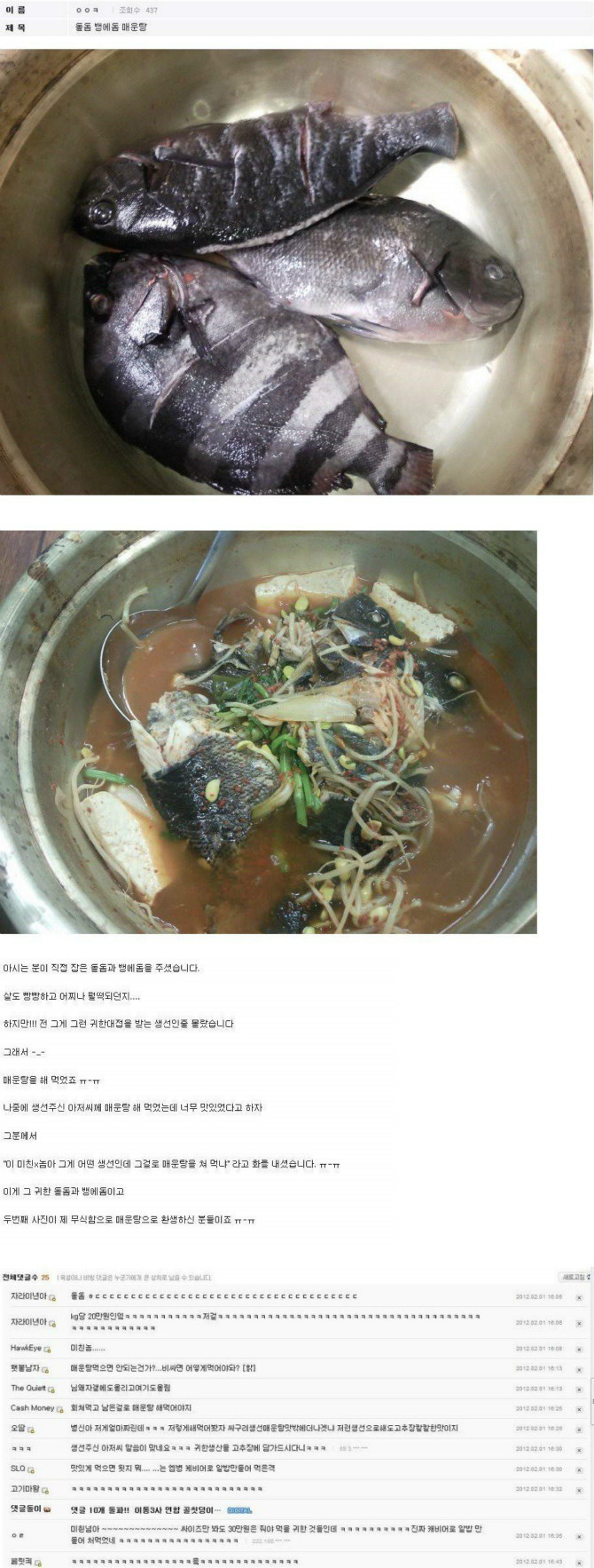 무지가 부른 참사