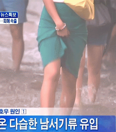 자꾸 보게 되는 짤 모음 | 보배드림 유머게시판