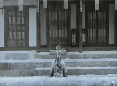 한국의 사계절 | 보배드림 유머게시판