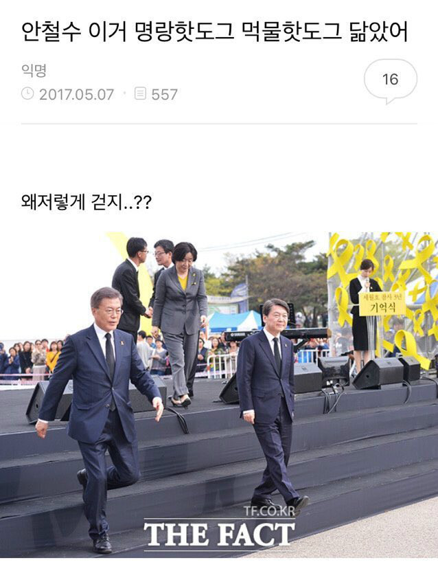 명랑핫도그 먹물핫도그 | 보배드림 유머게시판