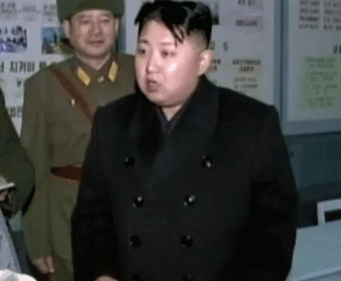 새해 첫날 꿈에 이따만한 돼지가 나왔는데 | 보배드림 유머게시판
