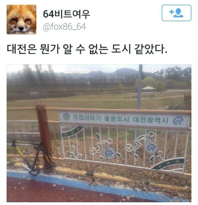 대전은 뭔가 알 수 없는 도시 같았다 | 보배드림 유머게시판
