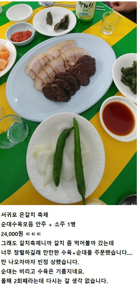 서귀포 은갈치 축제 안주 | 보배드림 유머게시판