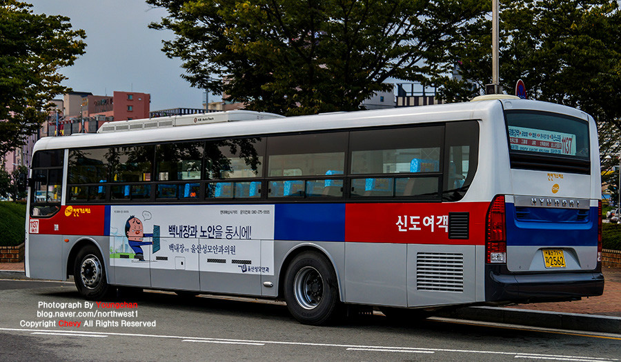 울산] 1137번 신도여객 [뉴 슈퍼 에어로시티]