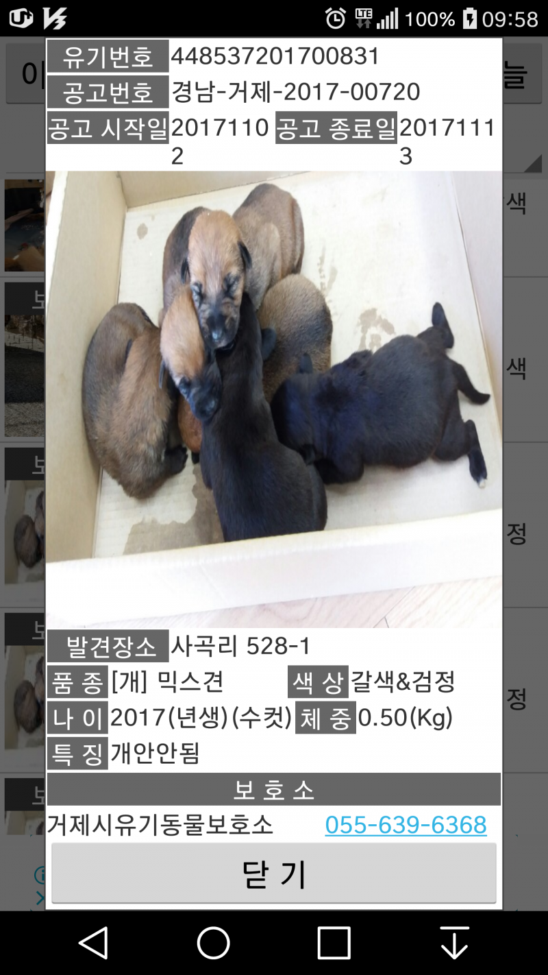 클릭하시면 원본 이미지를 보실 수 있습니다.