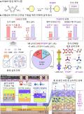 KAIST, 세계 최고 수준 `리튬 금속배터리 용매` ..