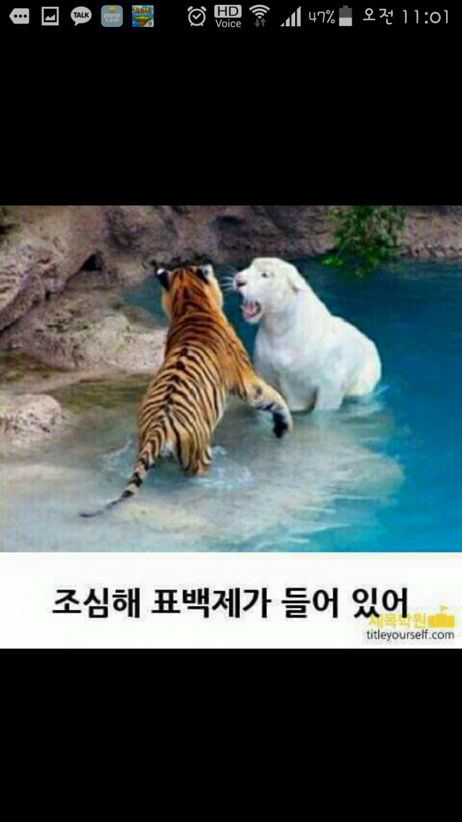 학원 | 보배드림 유머게시판