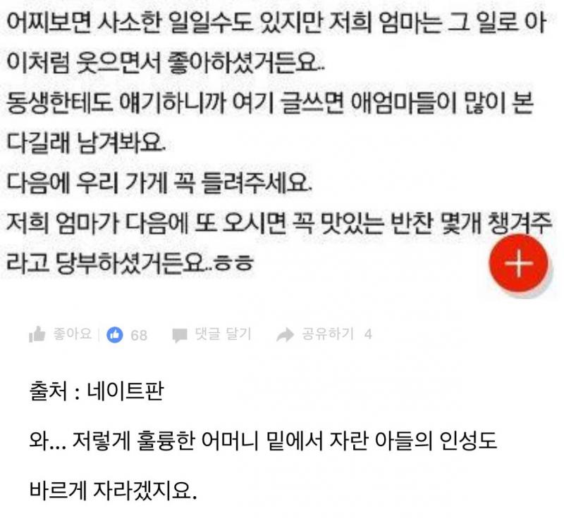 올바른 교육의 예 | 보배드림 베스트글