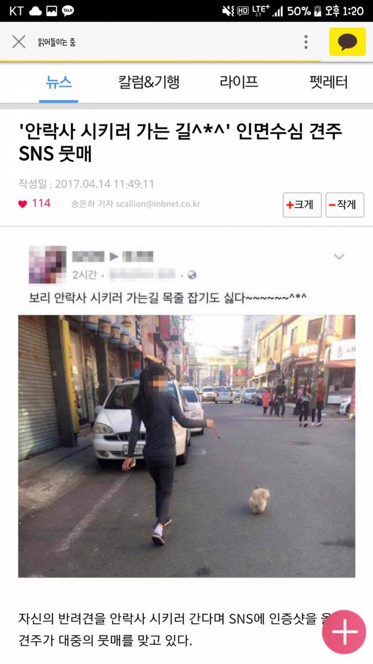 멀쩡한 강아지 안락사 SNS 인증 | 보배드림 유머게시판
