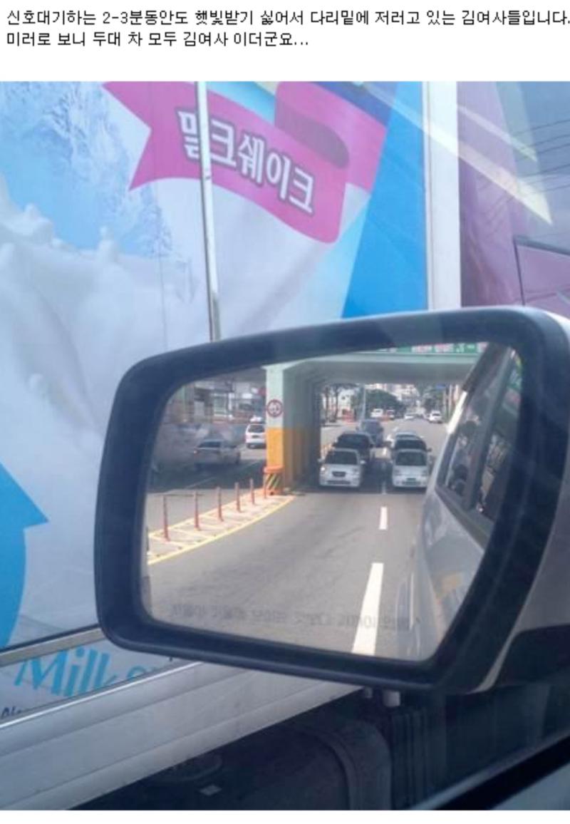 김여사 두분 | 보배드림 유머게시판