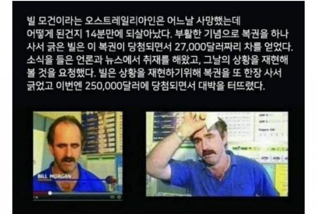 저승의 피해보상 서비스 | 보배드림 유머게시판