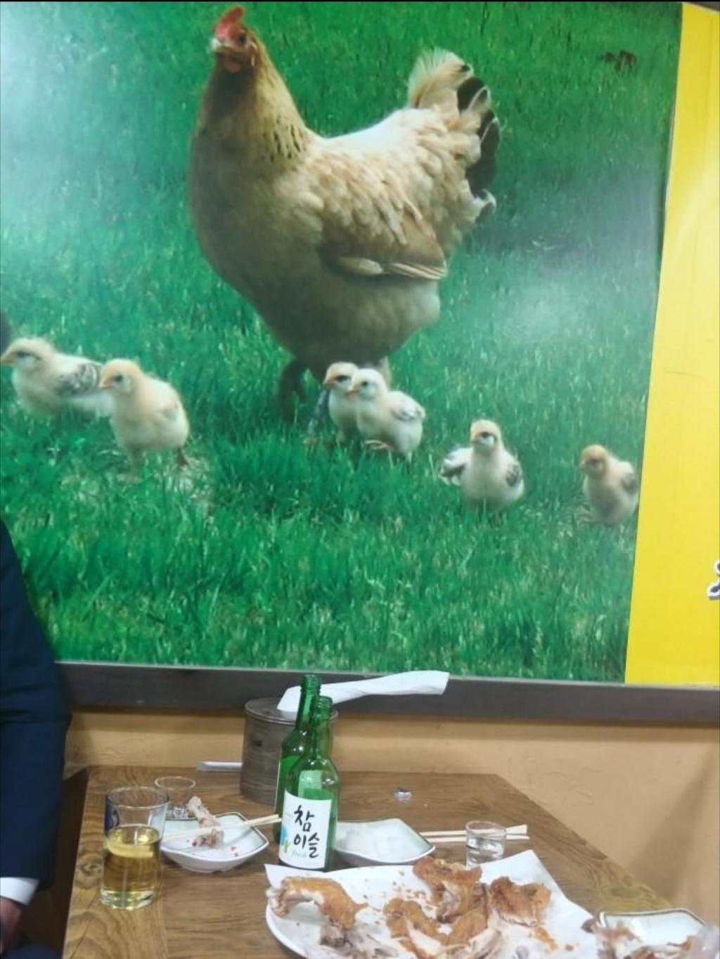 9시 까치산역 근처 치맥 하실분 계신가요? | 보배드림 유머게시판
