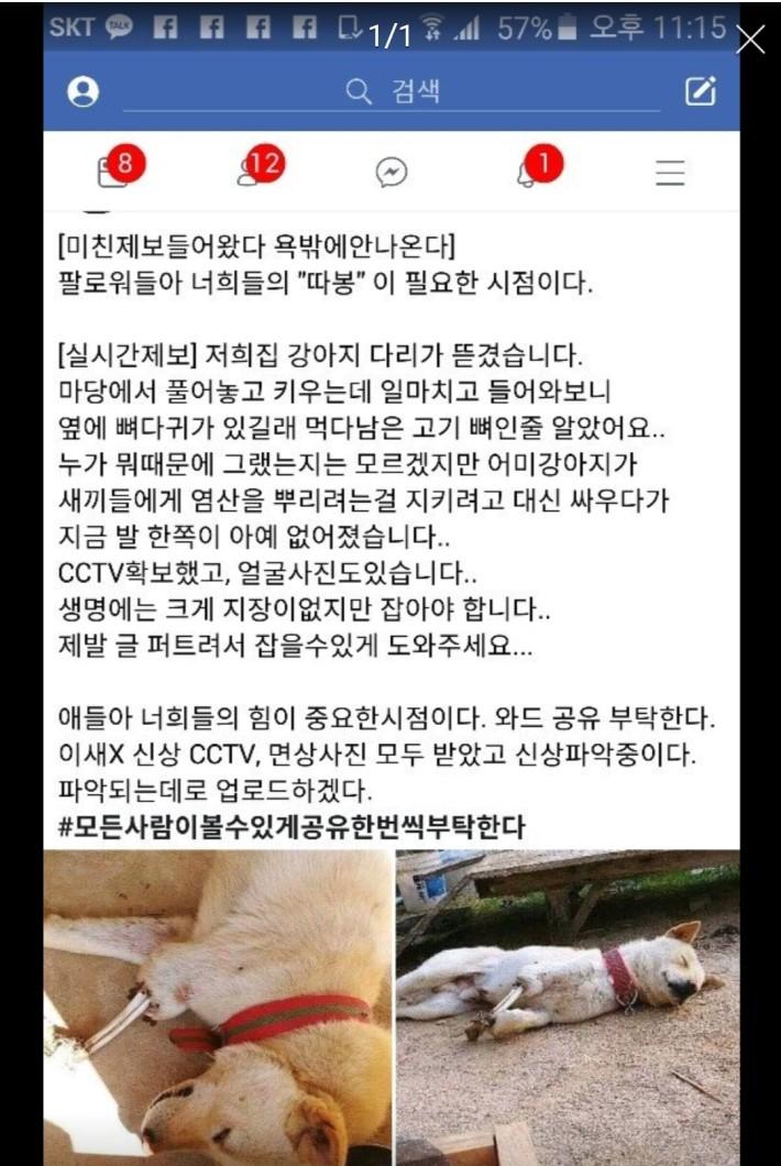 클릭하시면 원본 이미지를 보실 수 있습니다.