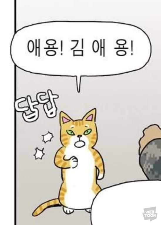 이렇게 또 보상받고 잠적인가요 | 보배드림 교통사고/블박