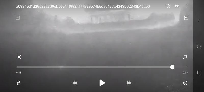 1000011455.jpg