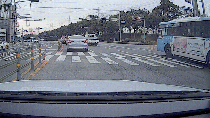 1000026233.gif