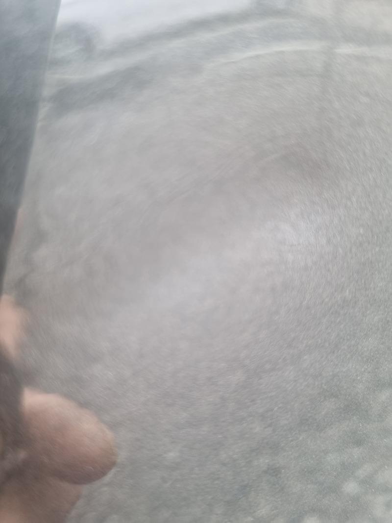 1000004466.jpg