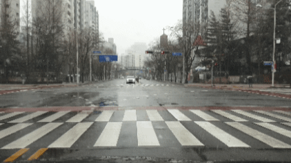 20250304_135844.gif