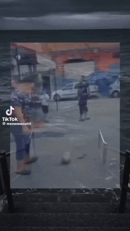 1000025002.gif