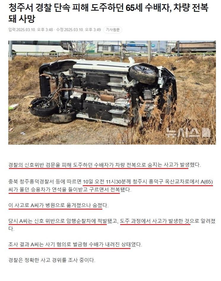 스크린샷_12-3-2025_114051_.jpeg