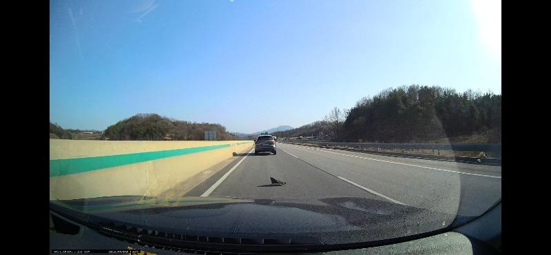 KakaoTalk_20250317_132349075.jpg