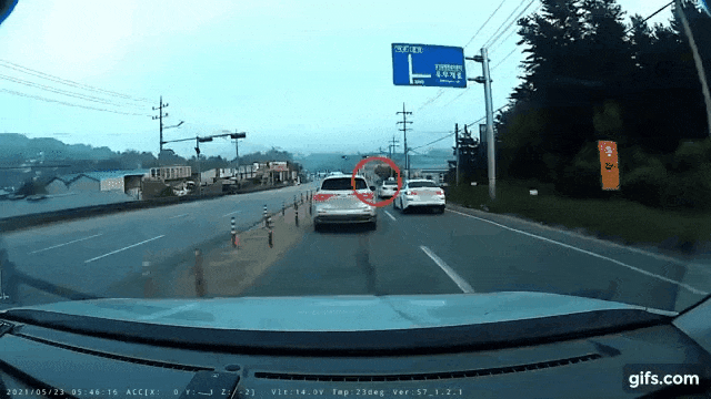 012.gif