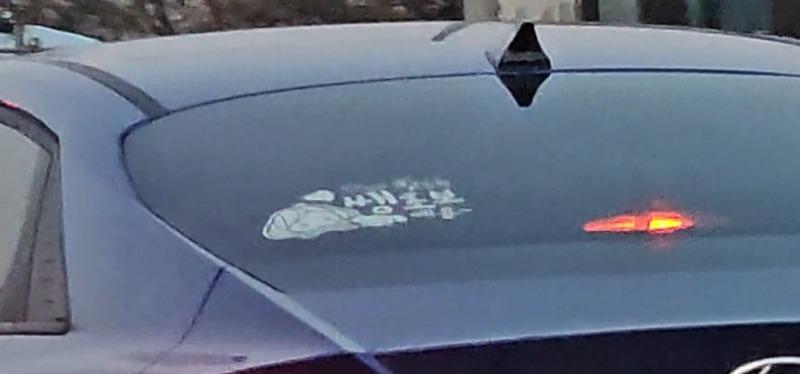 1000384918.jpg