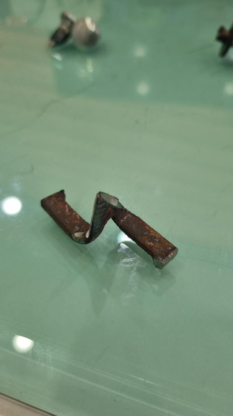1000020135.jpg