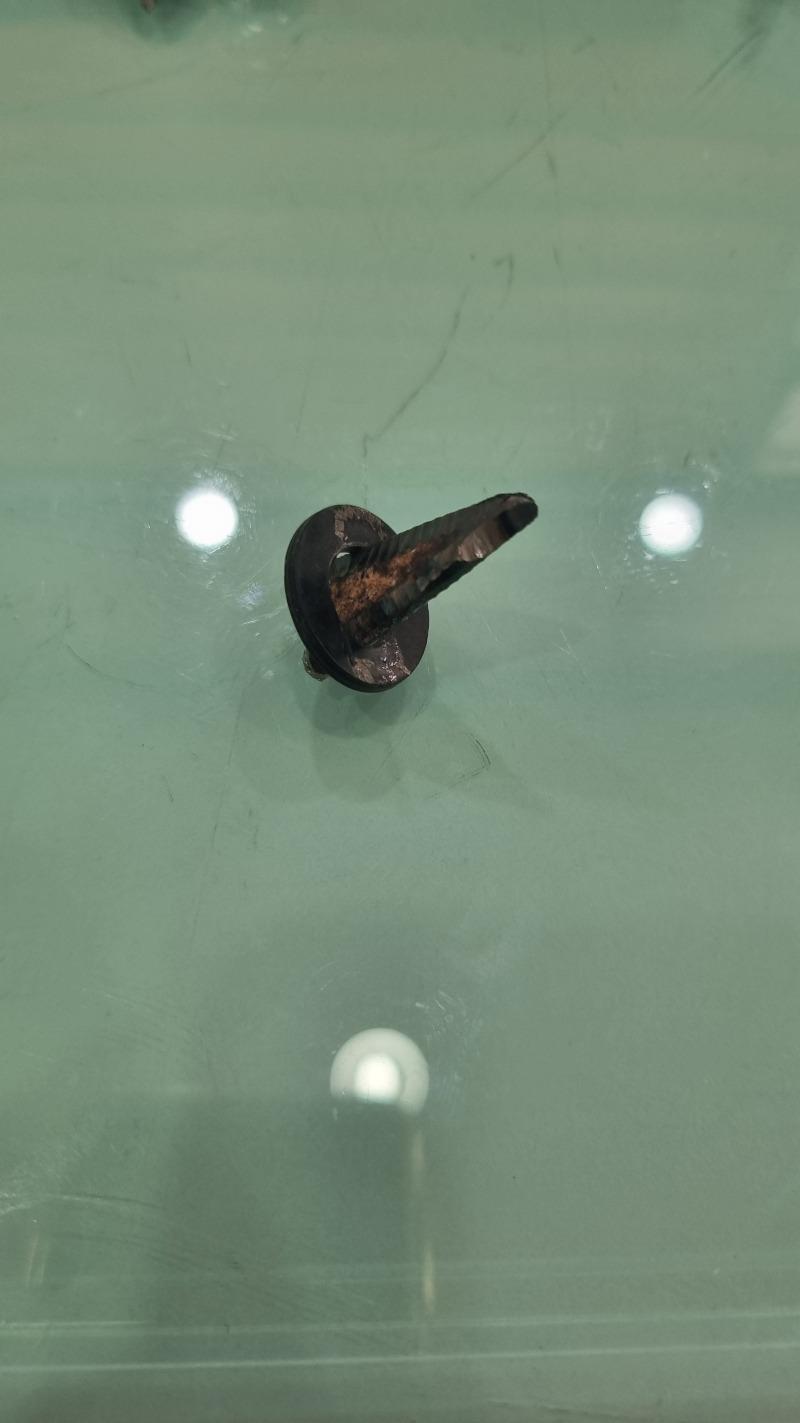 1000020136.jpg