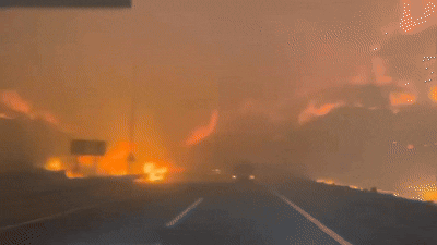 20250326120928_uOjQDasNP5.gif