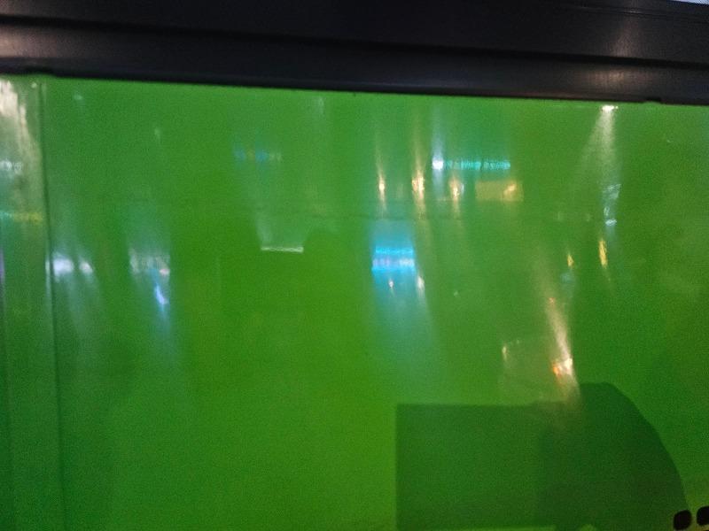 1000012226.jpg