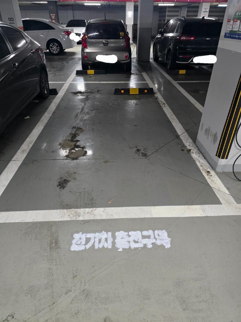 1743052267066.jpg