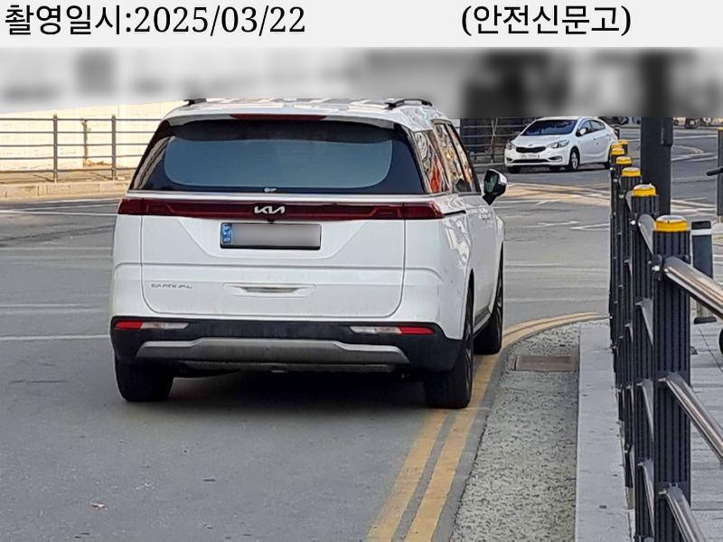 개니발1.jpg