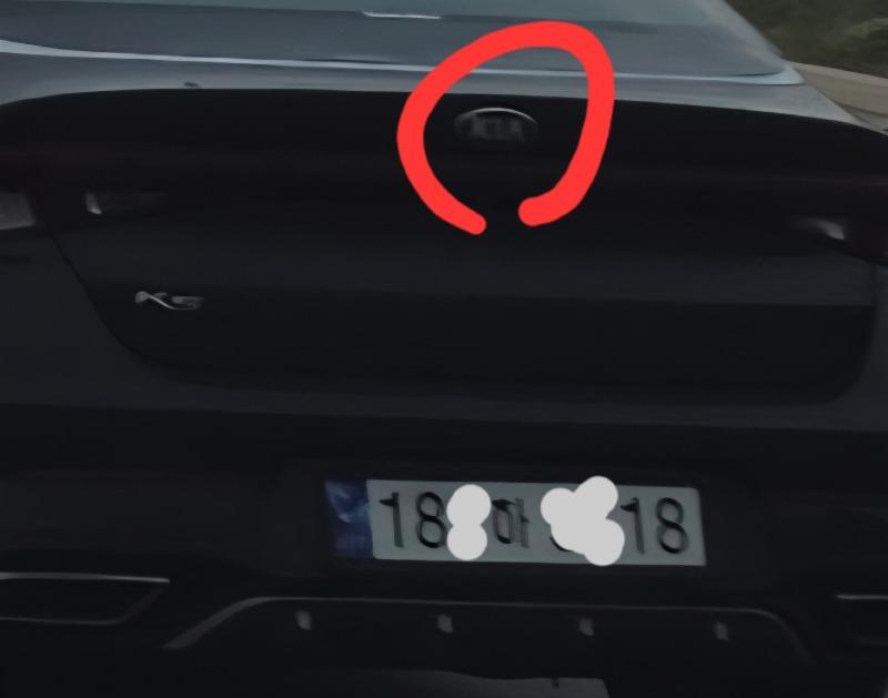 1000033895.jpg