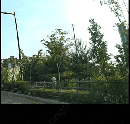 GIF_20250516_081854_571.gif