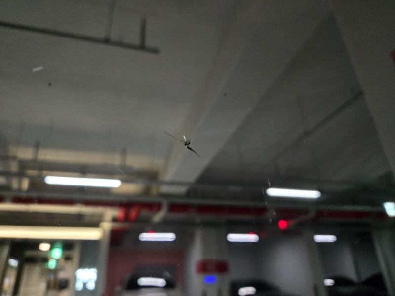 KakaoTalk_20250522_174309375.jpg