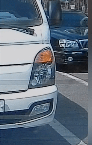 1000036515.gif