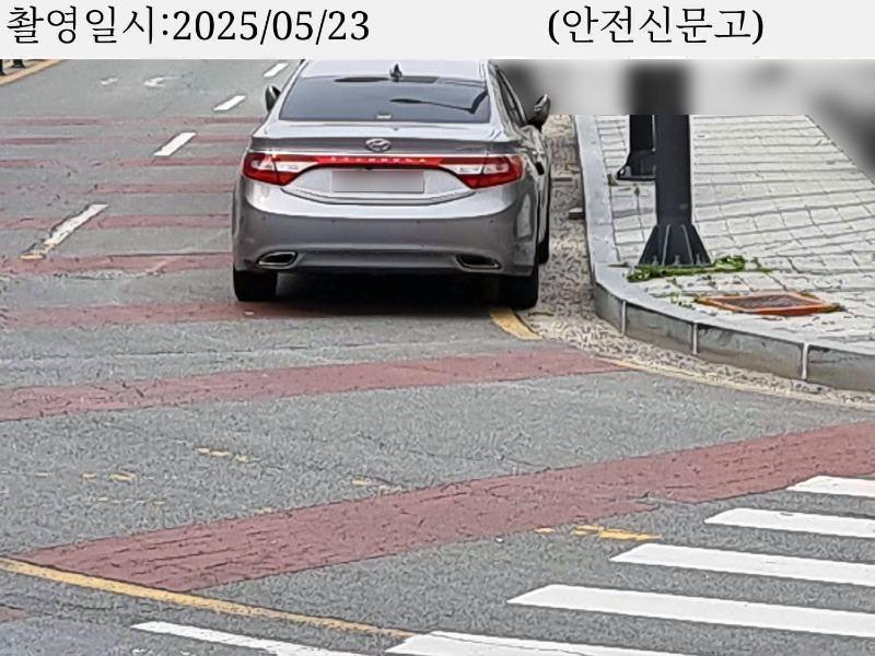 코너바리 명당 3일째 미동 없네유.jpg
