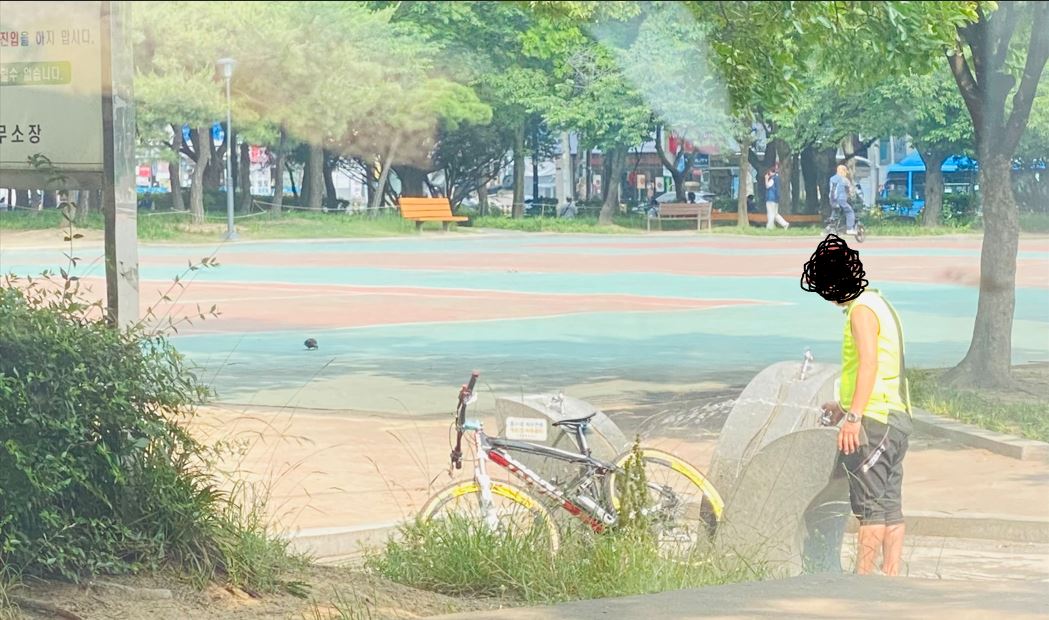dx.JPG