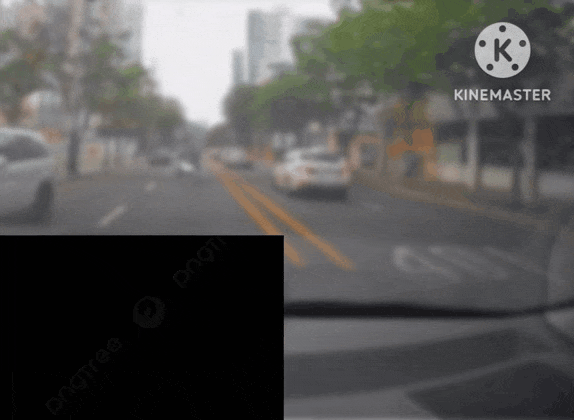 GIF_20250528_155655_568.gif