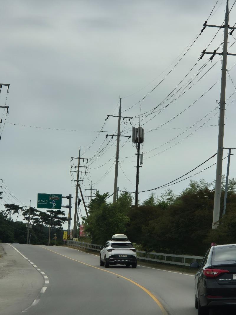 20250615_143551.jpg