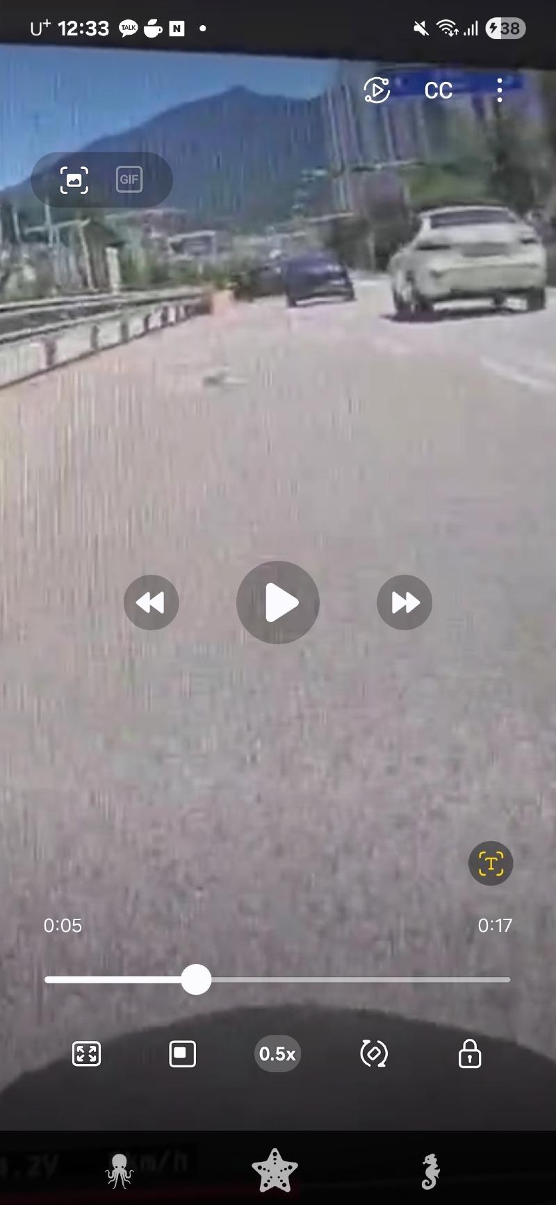 1000019453.jpg