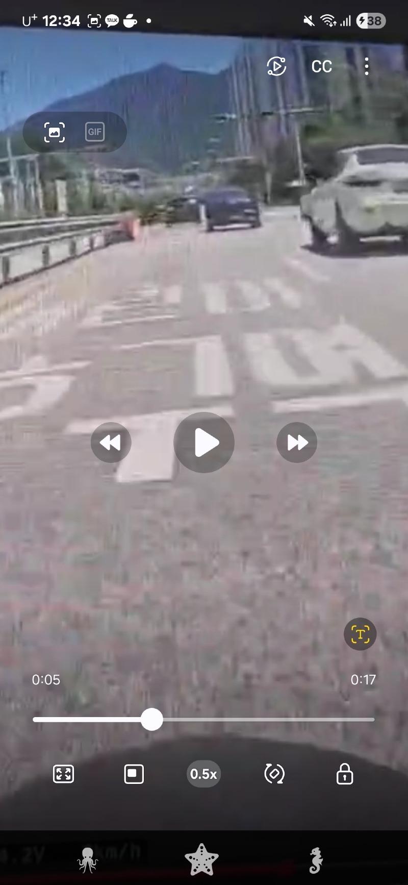 1000019455.jpg