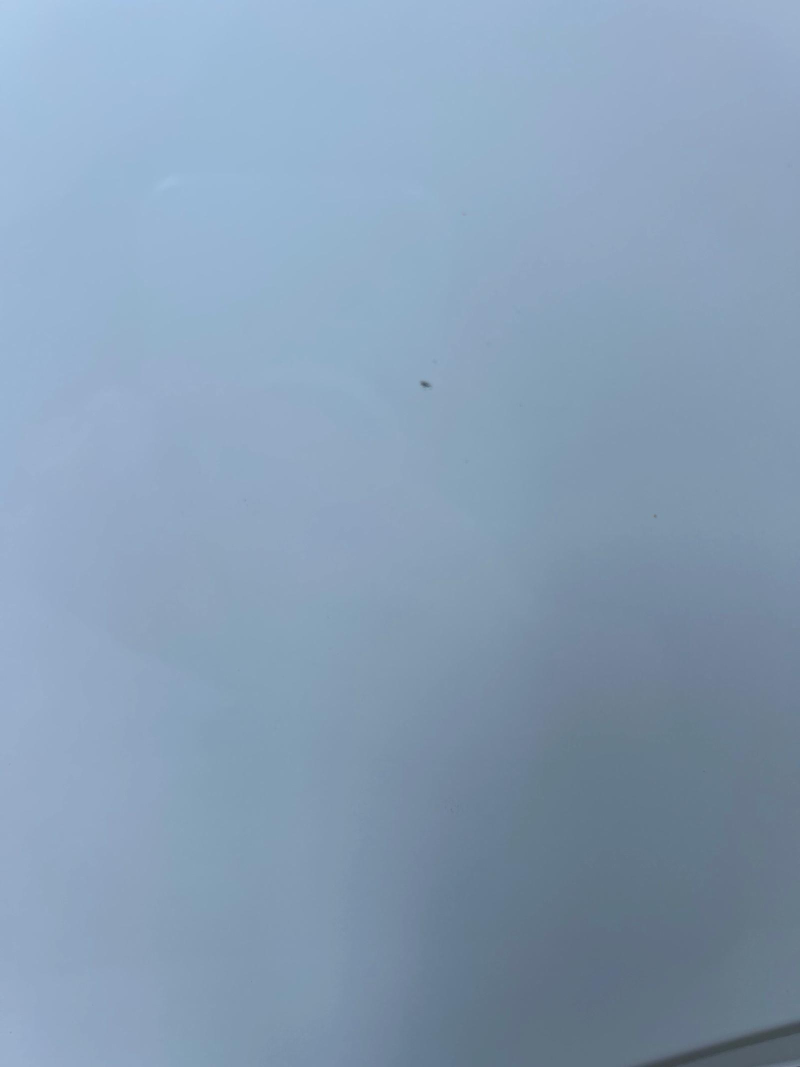 IMG_4233.jpeg