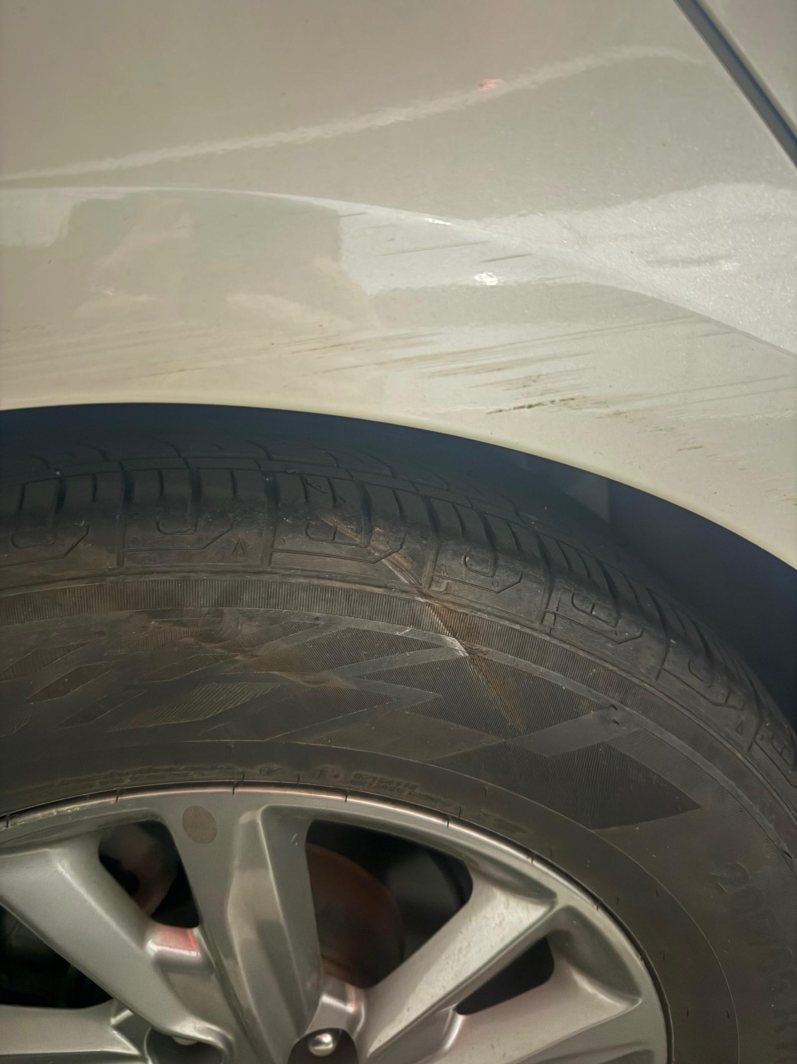 IMG_6679.jpeg