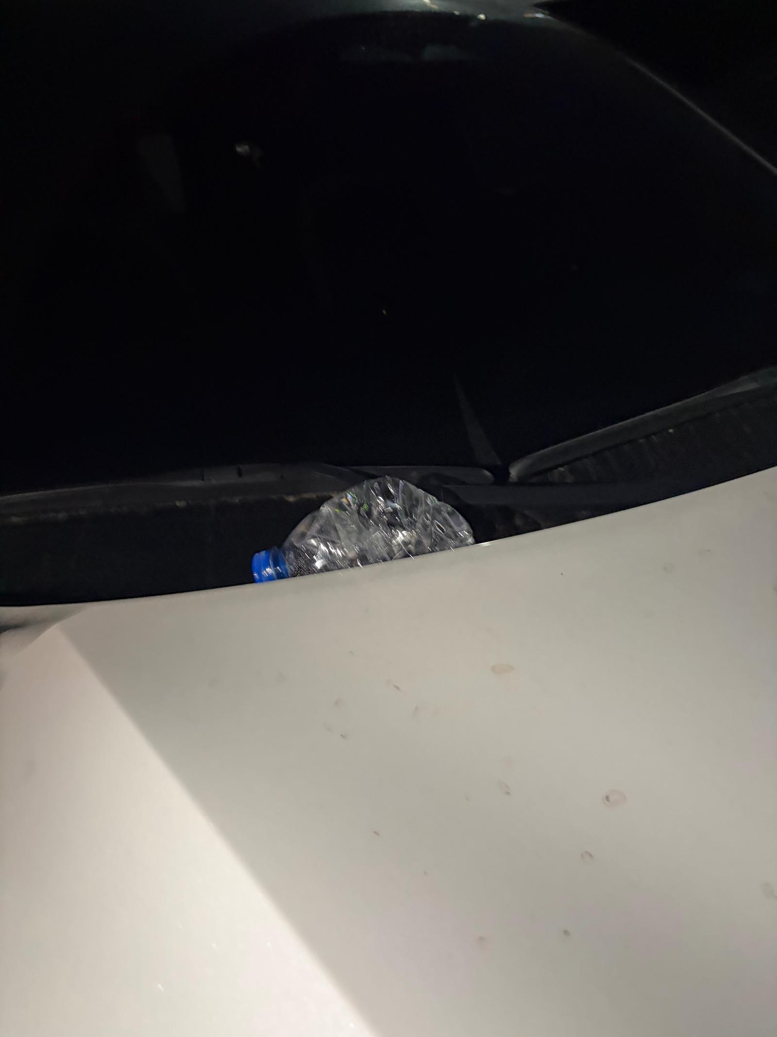 IMG_7498.jpeg