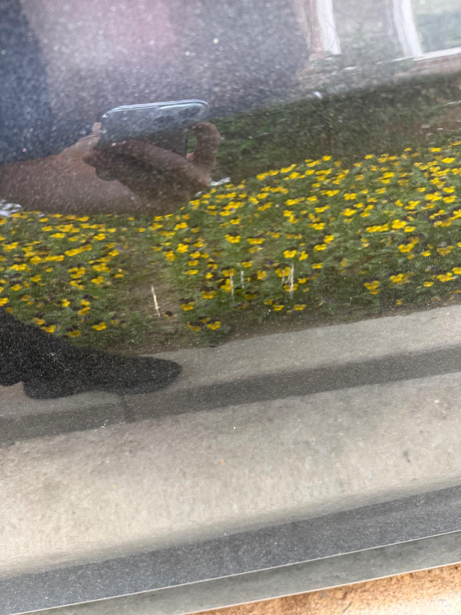 IMG_5188.jpeg
