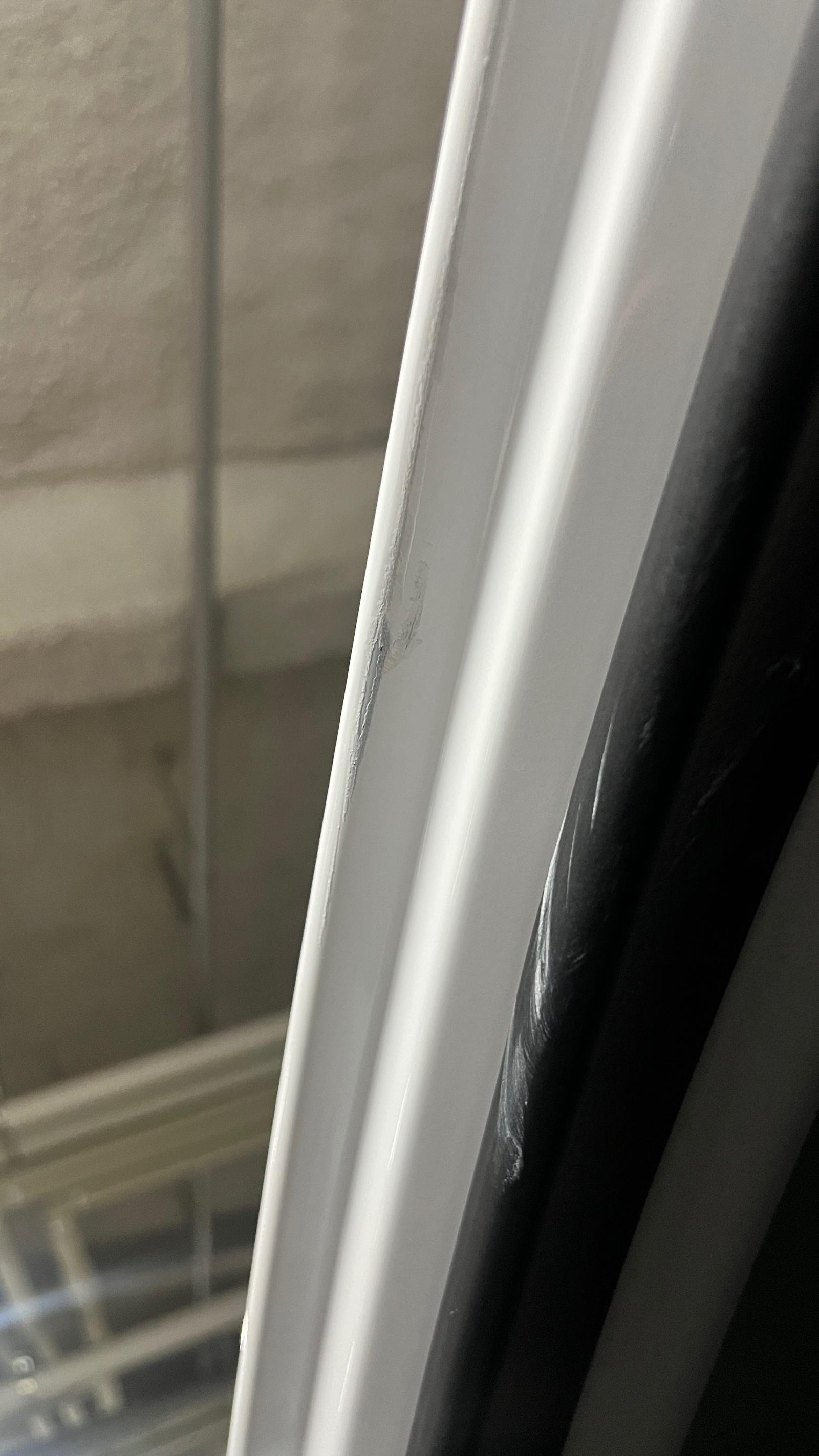 IMG_0835.jpeg