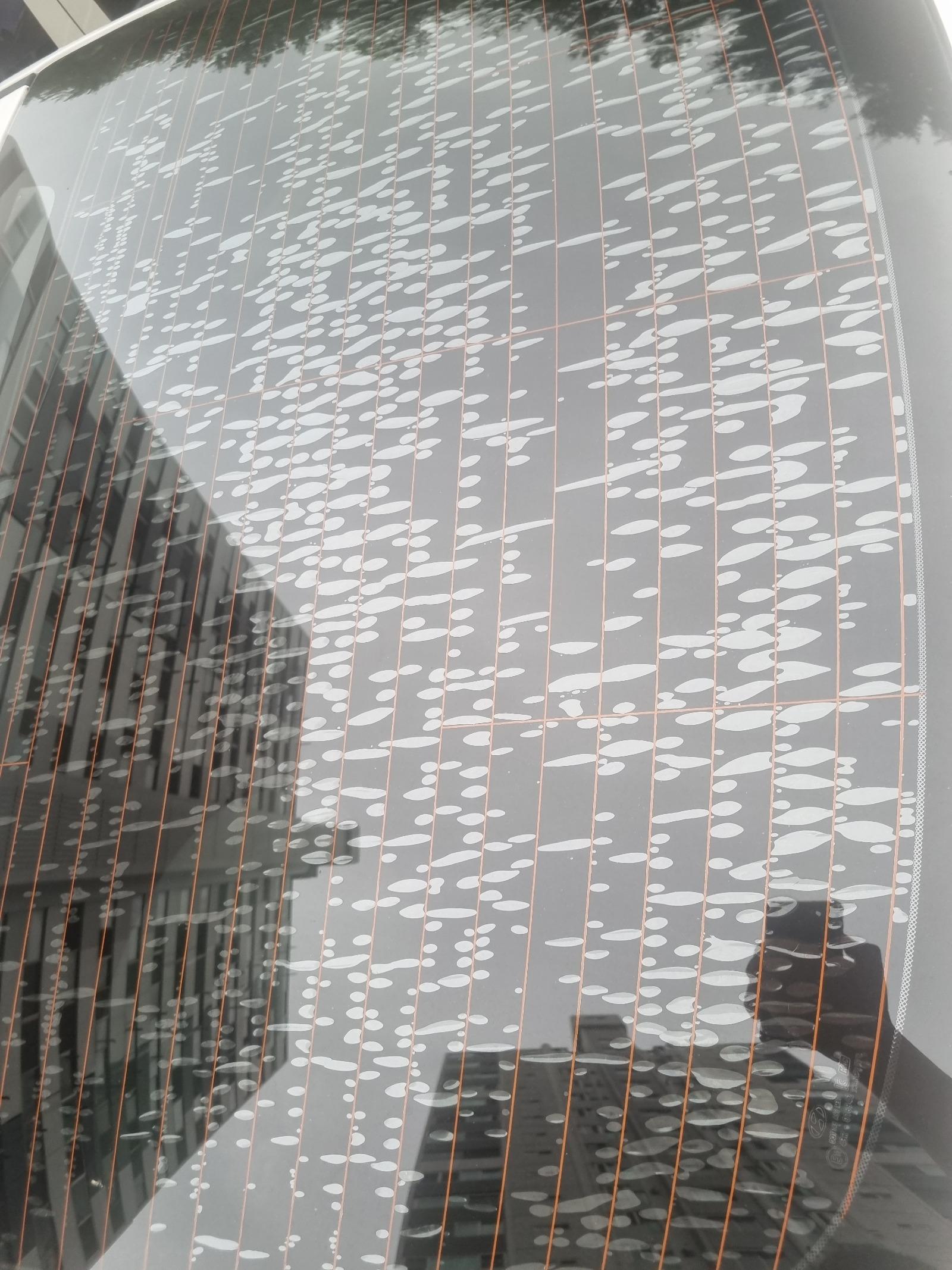 20260721_181127.jpg