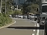 1000059849.gif